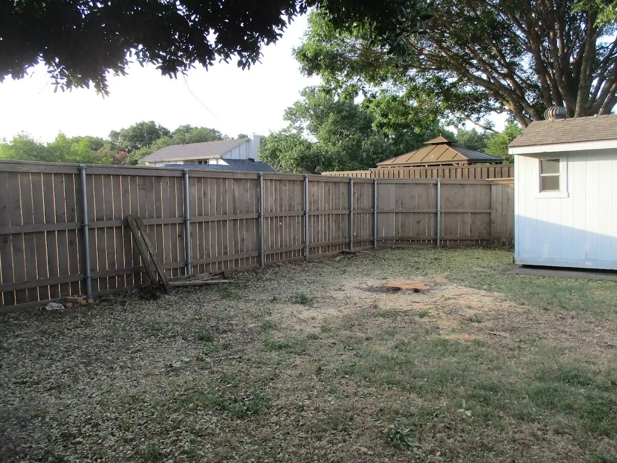 Cleared yard after professional tree removal in Elkins
